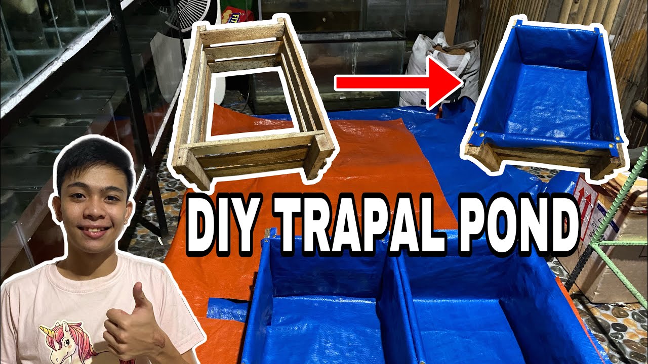 DIY Trapal Pond as my growout tub