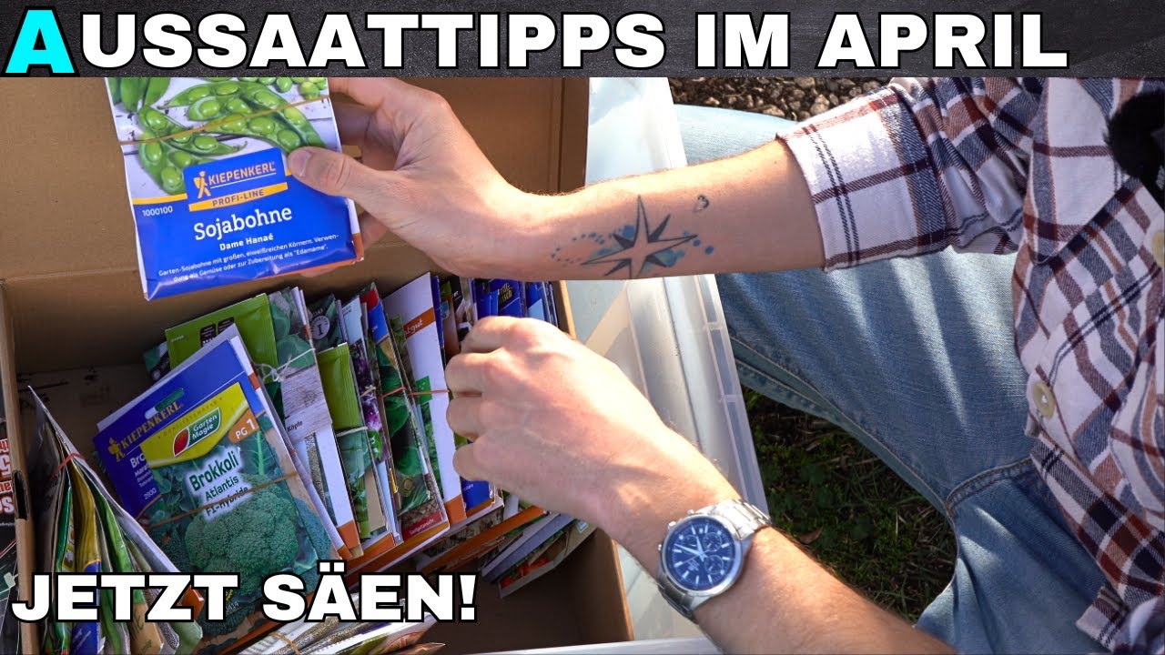 Das kannst du im April säen! 🪴