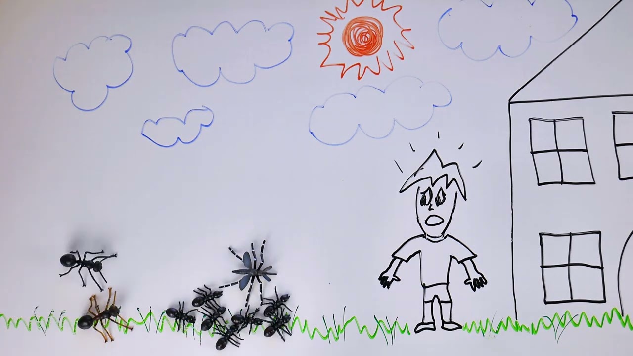 Cedarcide | Family-Friendly, Non-Toxic Pest Control. Enjoy the Bug-Free Lawn Your Family Deserves!
