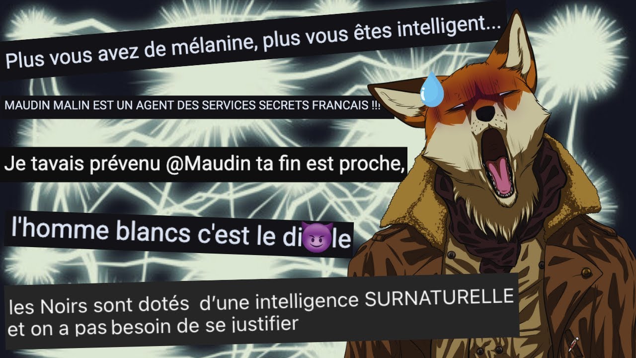 J'AI LES AFROCENTRISTES SUR LE DOS !