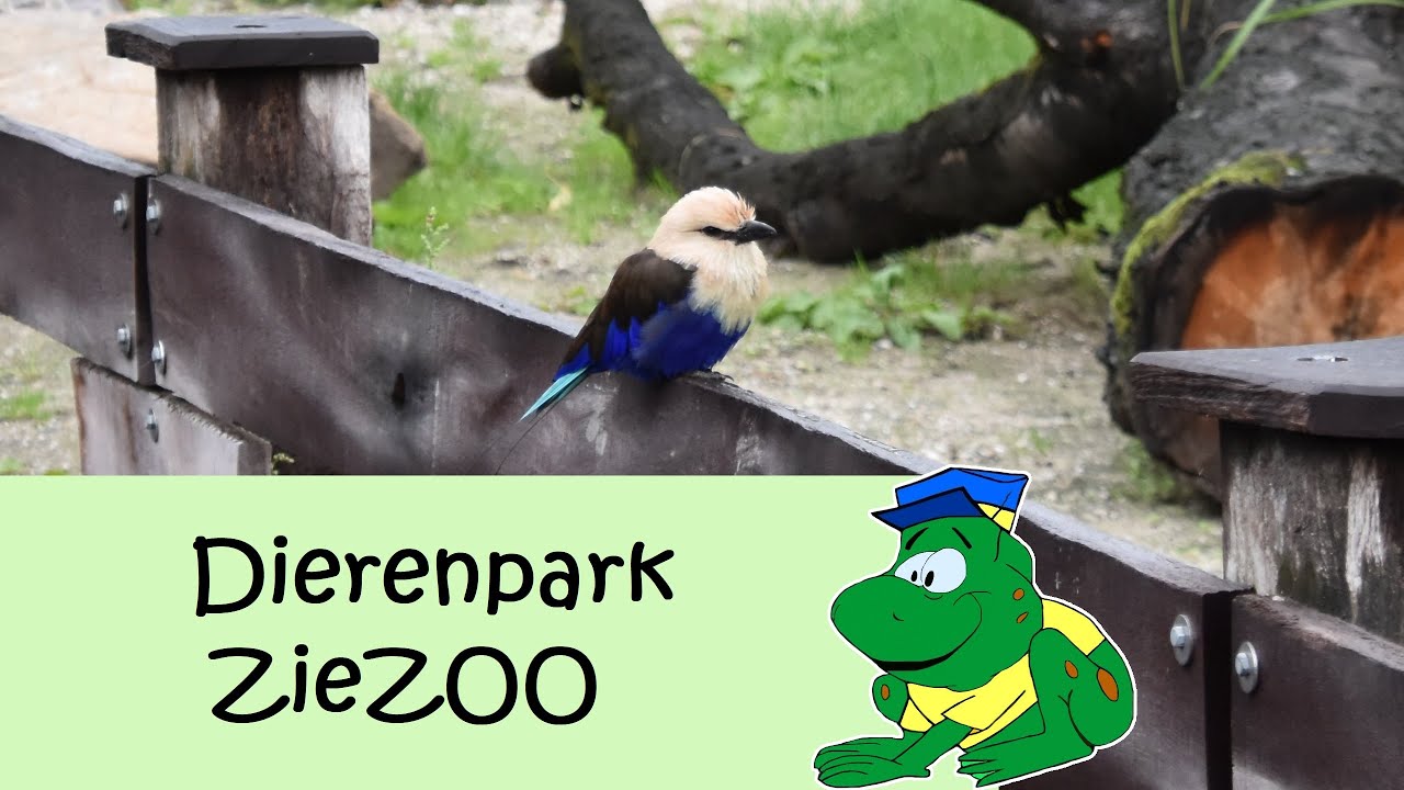 Dierenpark Zie-Zoo, 2021