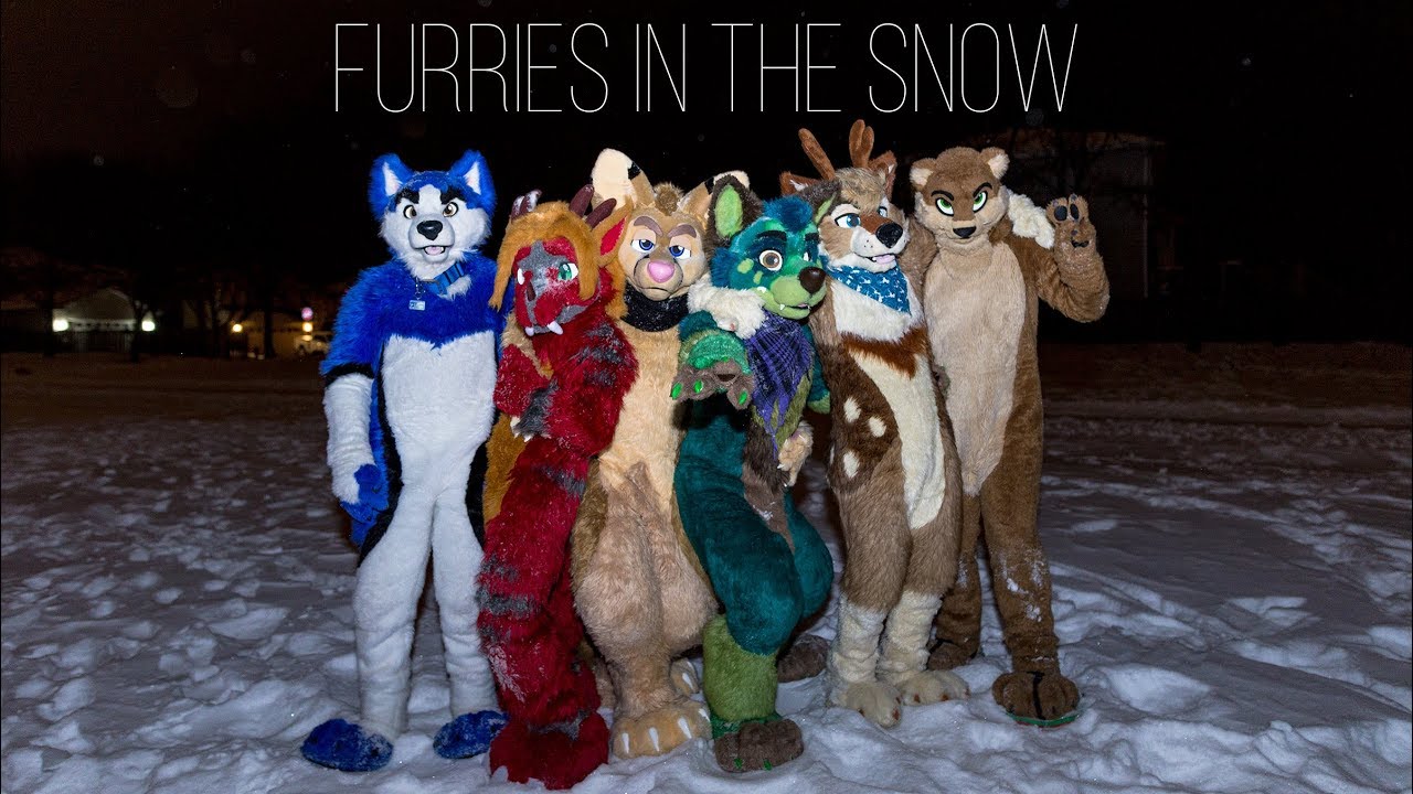 FURRIES PLAYING in the SNOW!