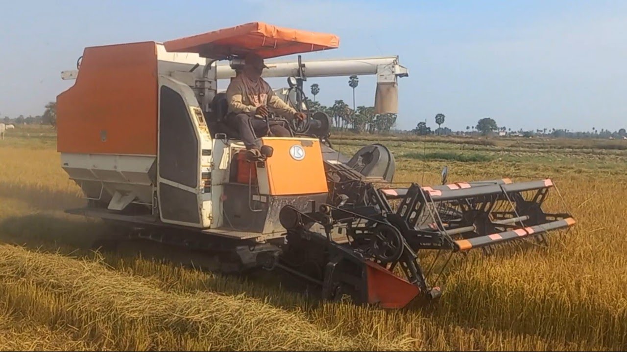 Kubota Rice Harvesting DC- 105X Equipment Tool Rice Cropping Machinery Farm, Rice Cutting Machine
