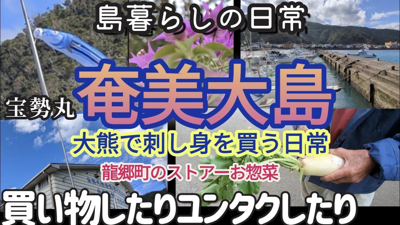 【奄美大島】大熊の宝勢丸でお刺し身・漁港のお散歩・龍郷でお惣菜買ったり、野菜の無人販売所♫ユンタク〜　#amami #奄美#日常  　撮影2022年12月