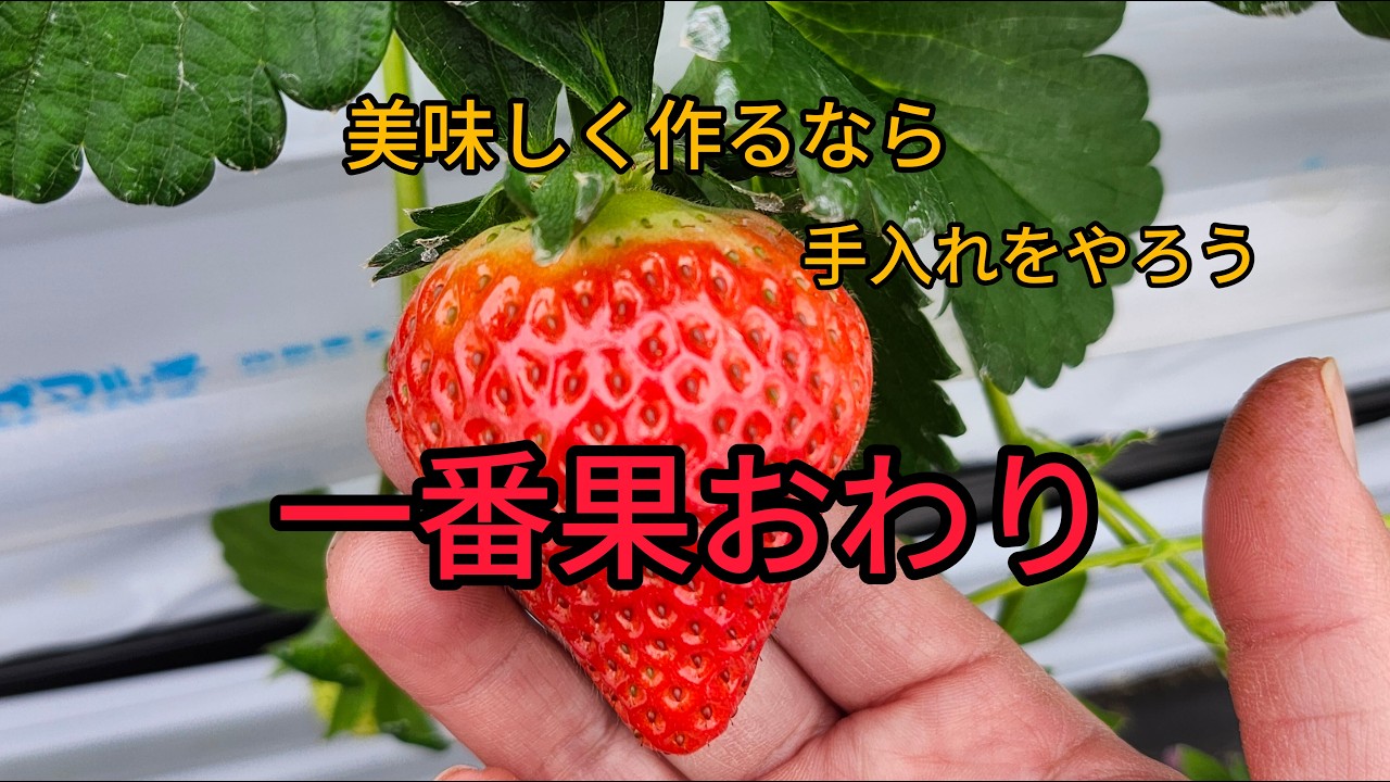 時間があつても、なくてもお手入れ