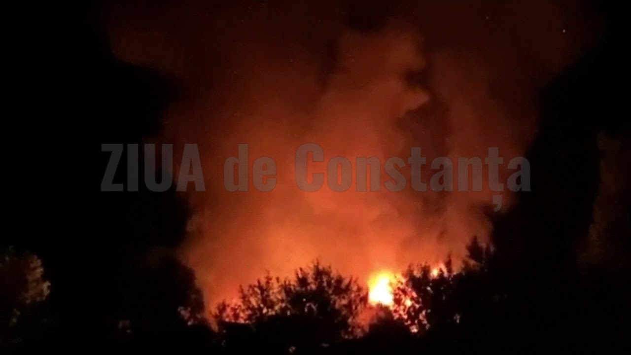Incendiu devastator l&acirc;ngă Herghelia din Mangalia. Imaginile sunt elocvente (foto+video)