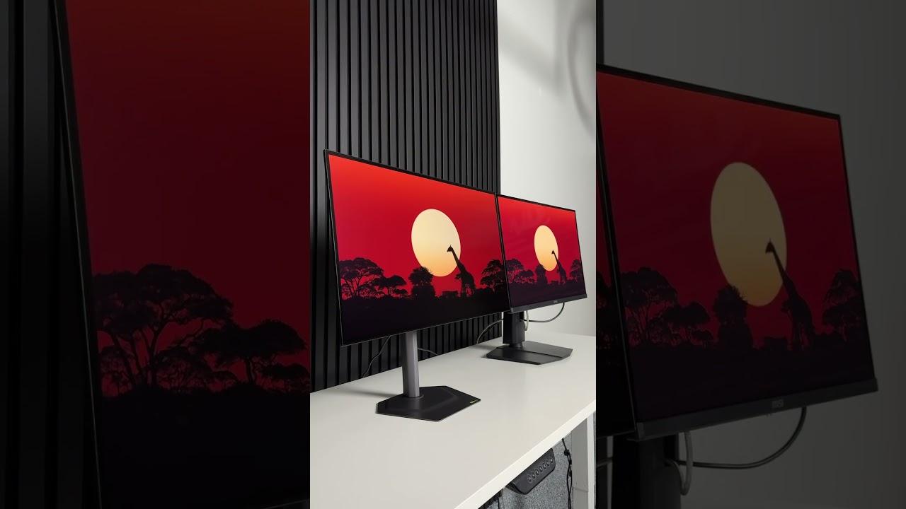 LG WOLED vs QD OLED (Gigabyte 4th Gen)