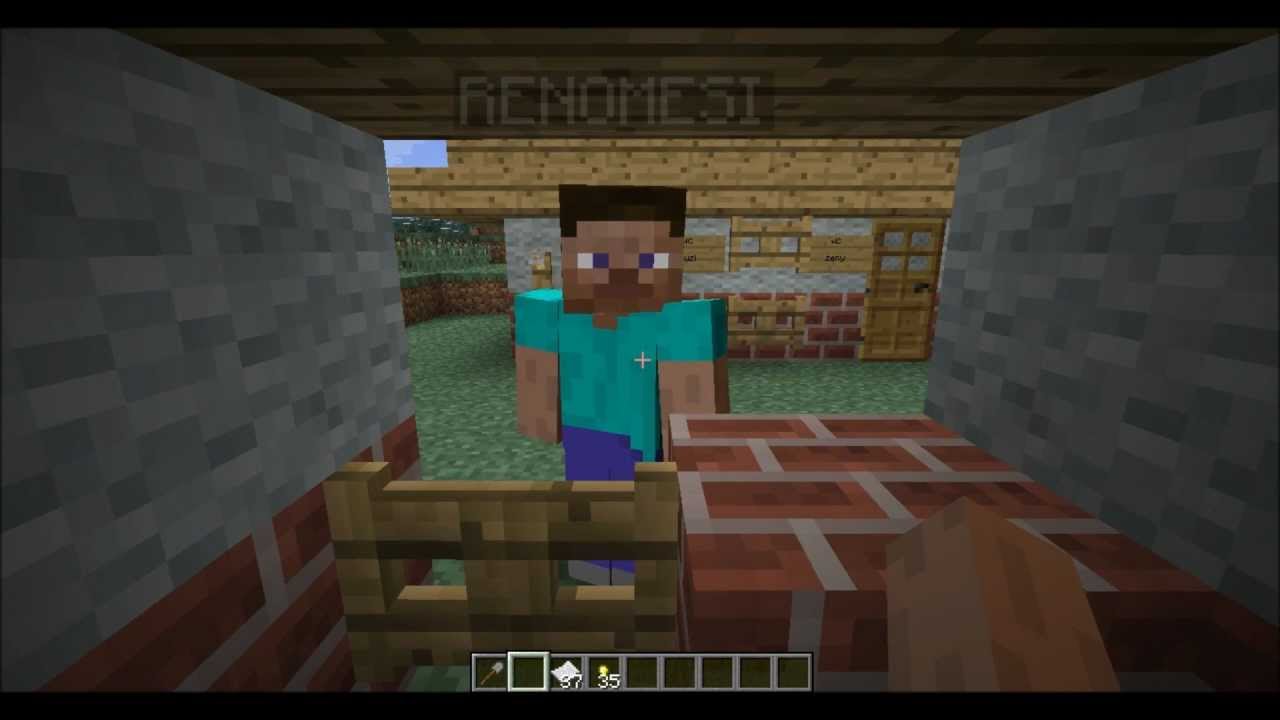 ( MINECRAFT ) vtipné scénky 1.díl