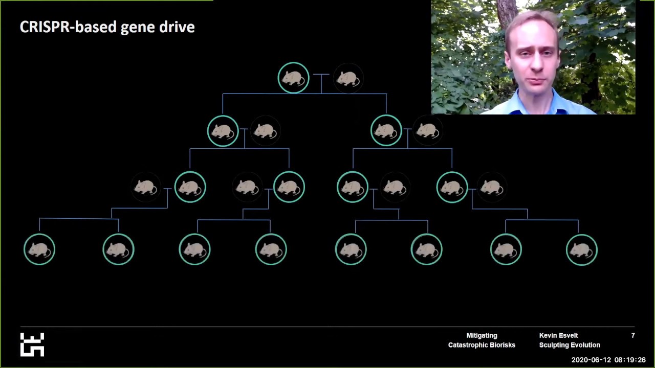 Mitigating catastrophic biorisks | Kevin Esvelt | EAGxVirtual 2020