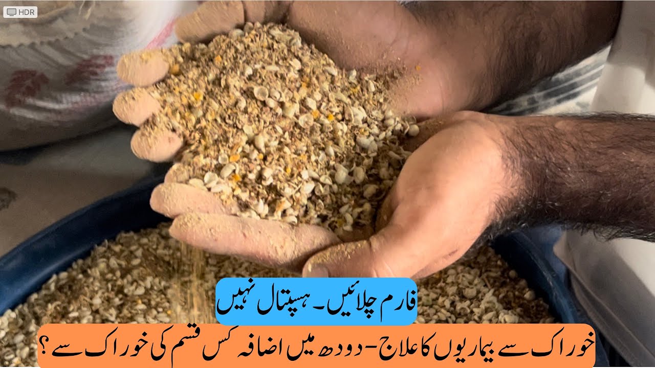 Peaceful and Profitable Farming Tips