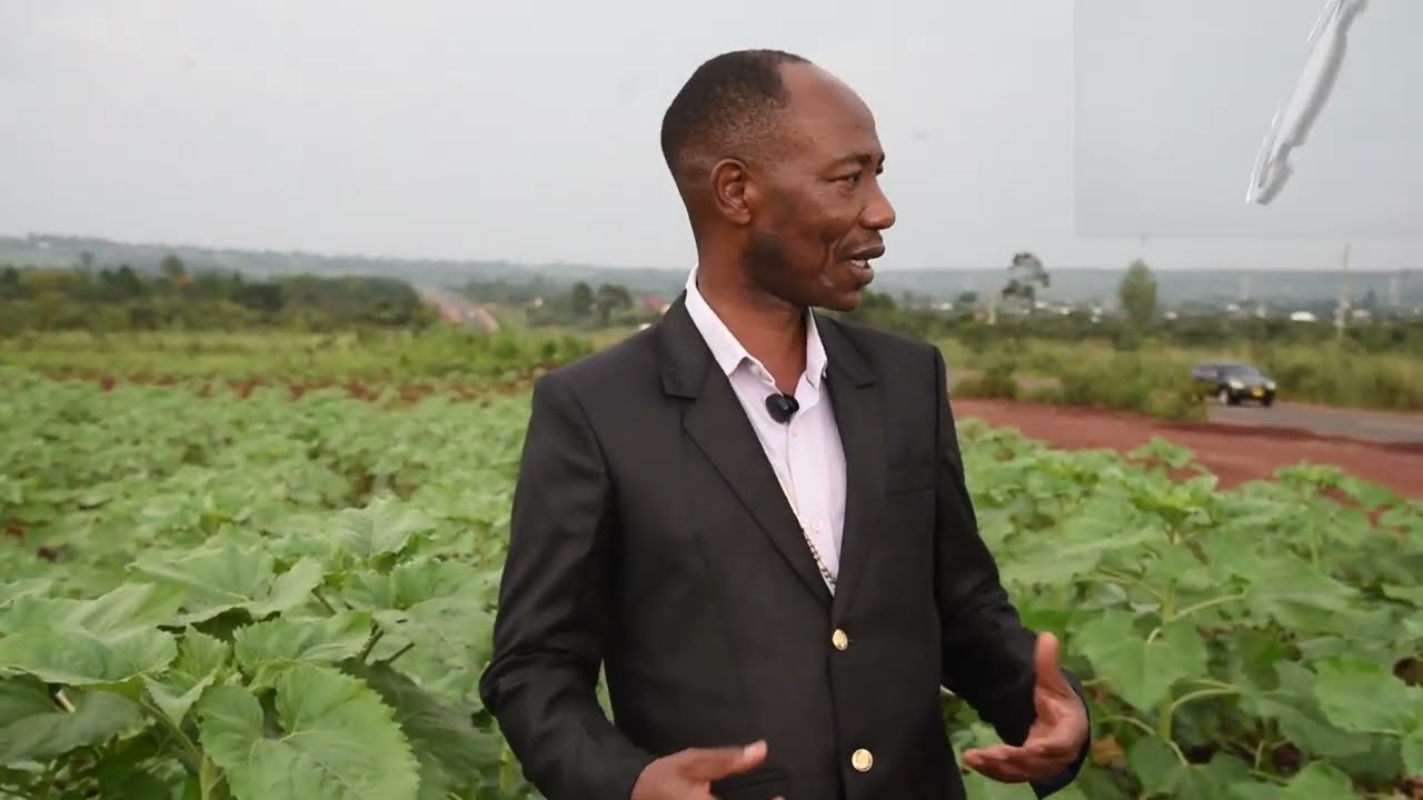 SHAMBA LA ALIZETI LA ✝️ ASKOFU BWATA WA K.AT  D.W.T LAGEUKA MFANO WA UWEKEZAJI KWENYE KILIMO.