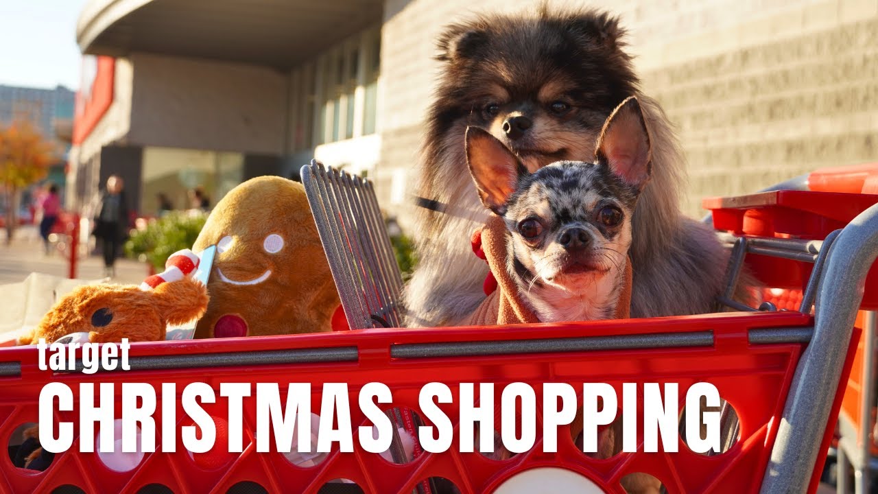 Target NYC Christmas Shopping With Our Dogs | Life in NYC