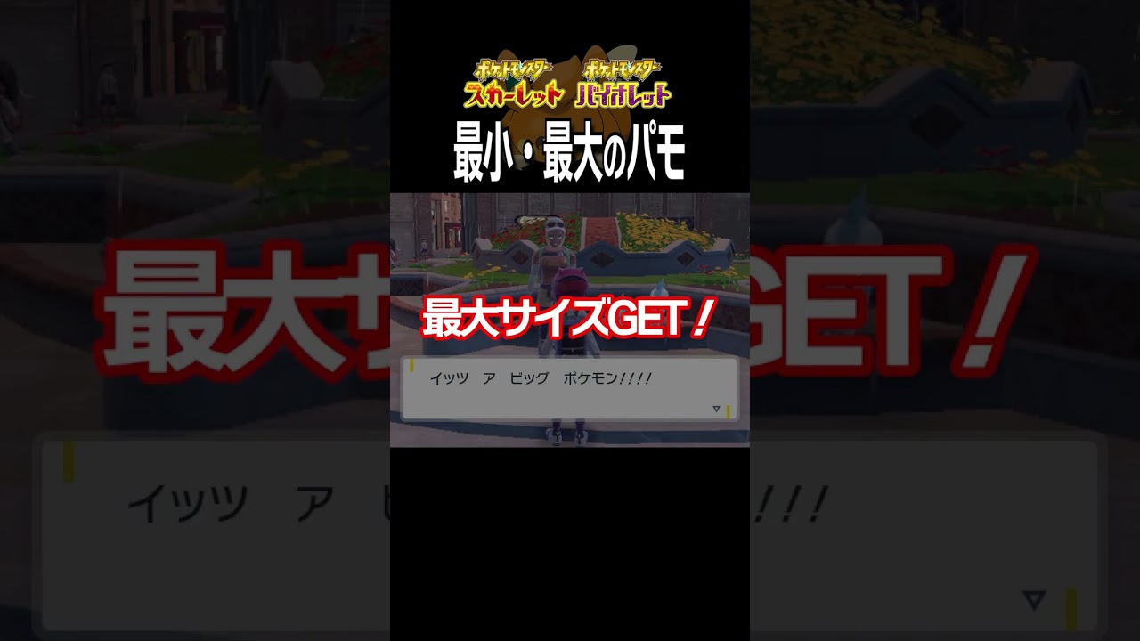 【大きさ比較】パモ編【ポケモンSV】