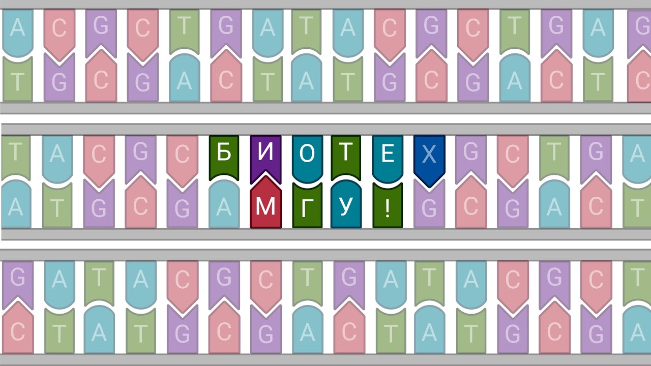 Биотехнологический факультет МГУ им. М.В. Ломоносова