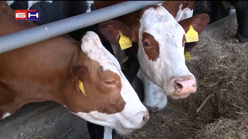 Farmland strajkom trazi isplatu dugovanja