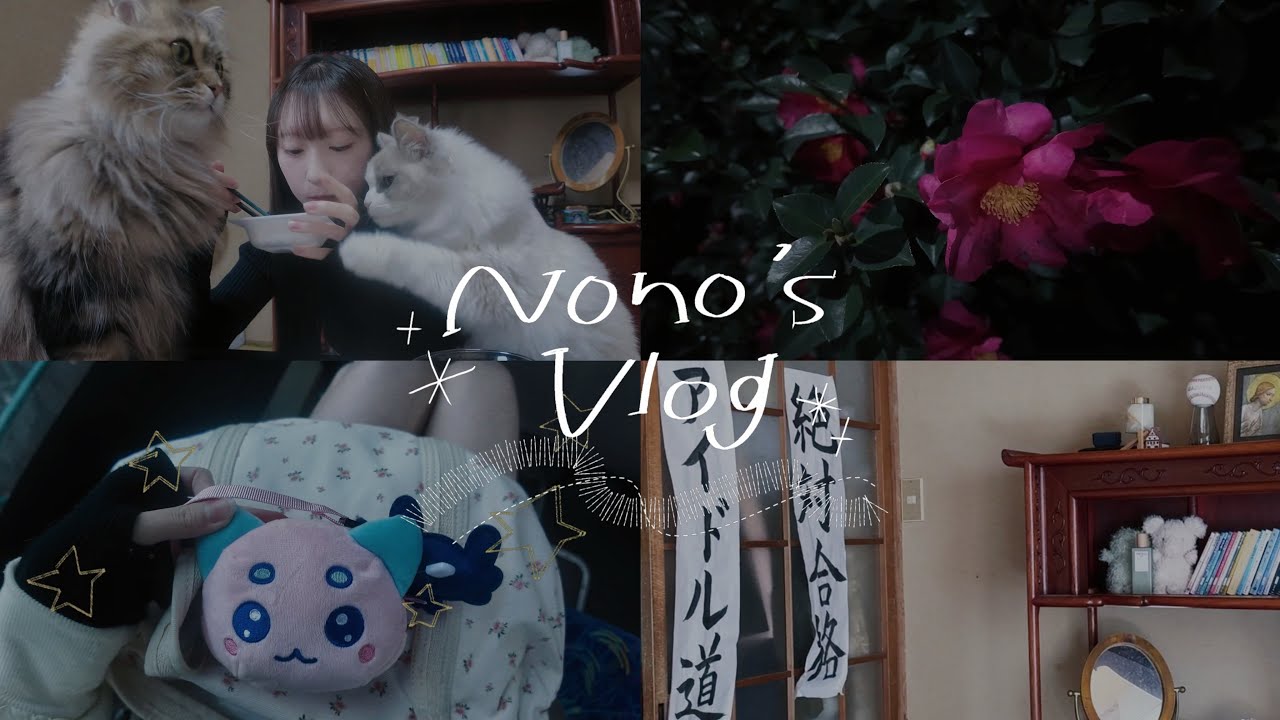 vlog⌇🌙　アイドルになるために会社を辞めて、上京してきました。　猫との和室暮らしとまだまだ下積みブイログ🐈