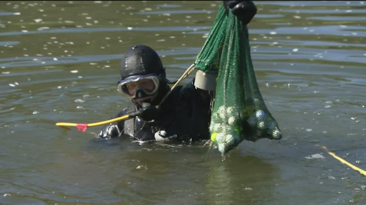 Temecula golf ball diver nets $100,000 a year