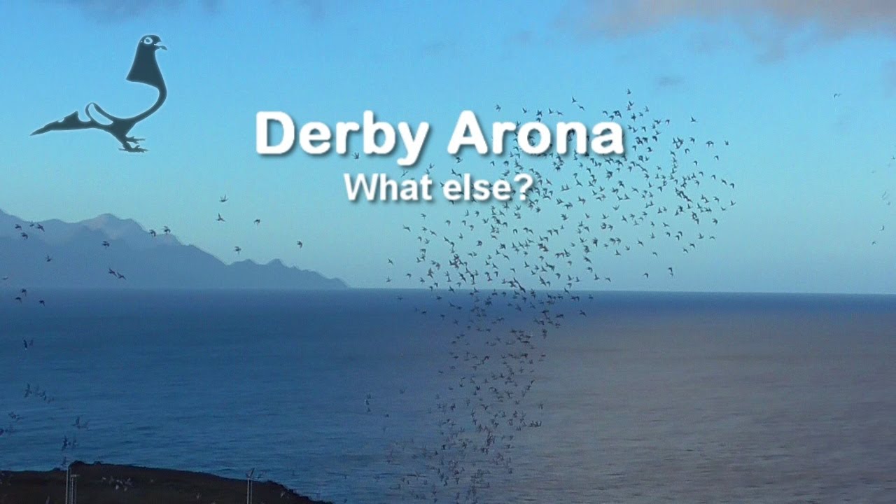 Derby ARONA 2021 &ndash; film o wyścigach przetrwania 💪 &ndash; Rolls-Royce wyścig&oacute;w OLR 😉