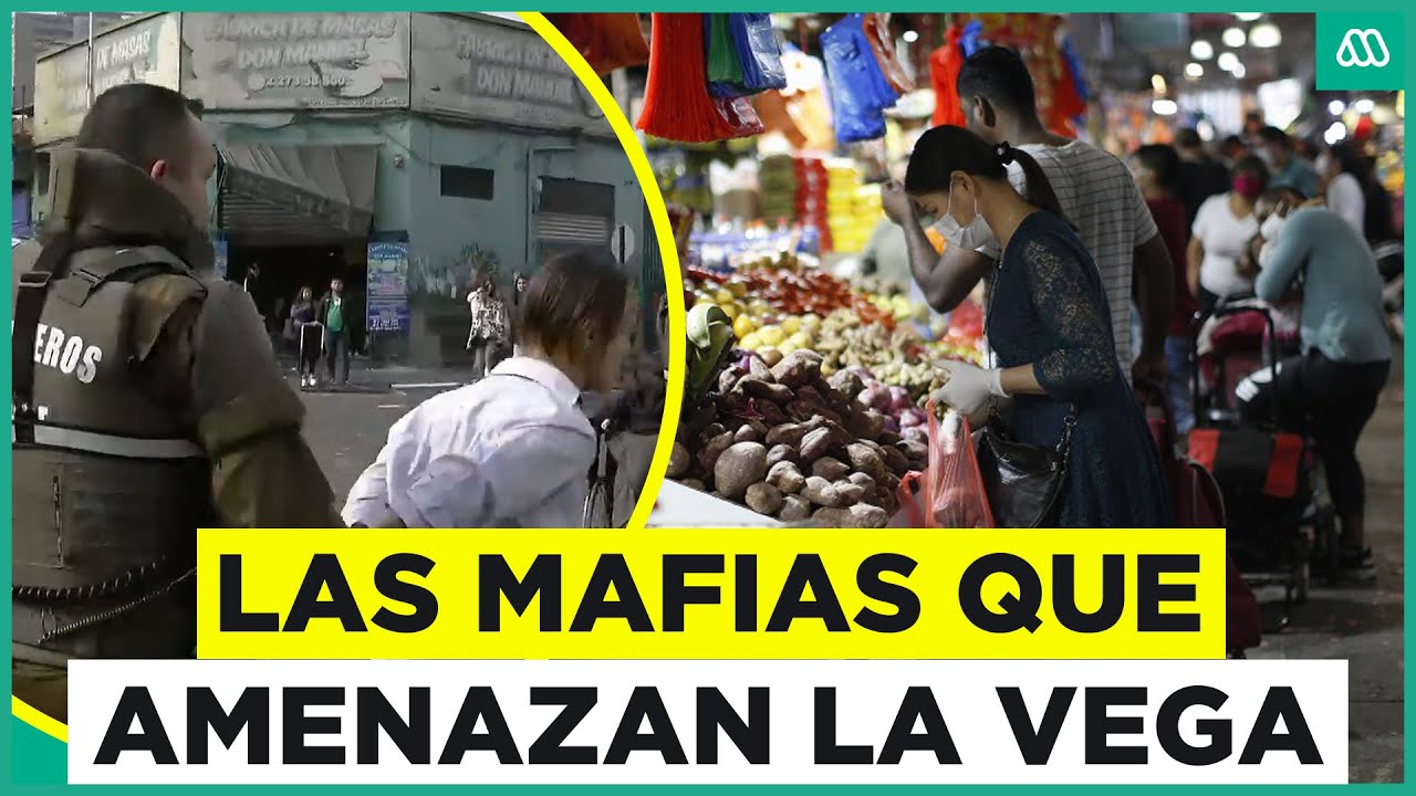 Crisis en La Vega: Vecinos y locatarios denuncian que la delincuencia está hundiendo el sector