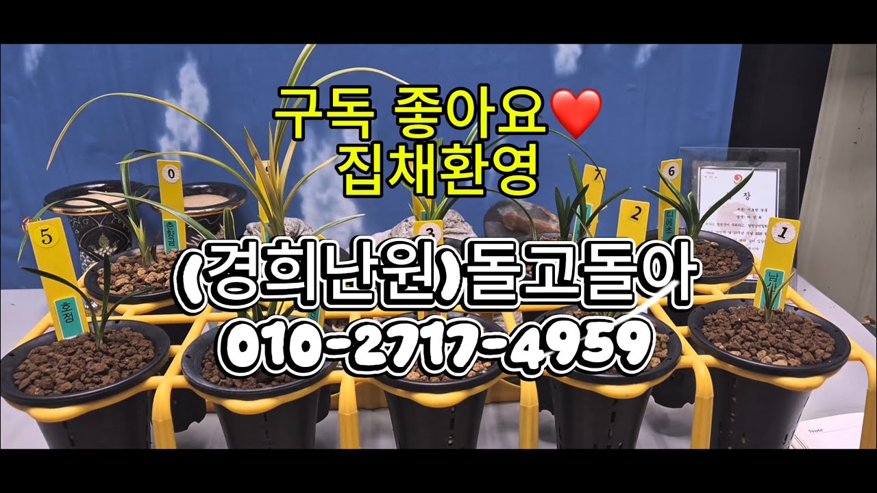 0305 2차 남산관 입변중투 산반단엽호 입변복륜 호정 디에초 서반단엽 칠보산 삼홍 춘향금