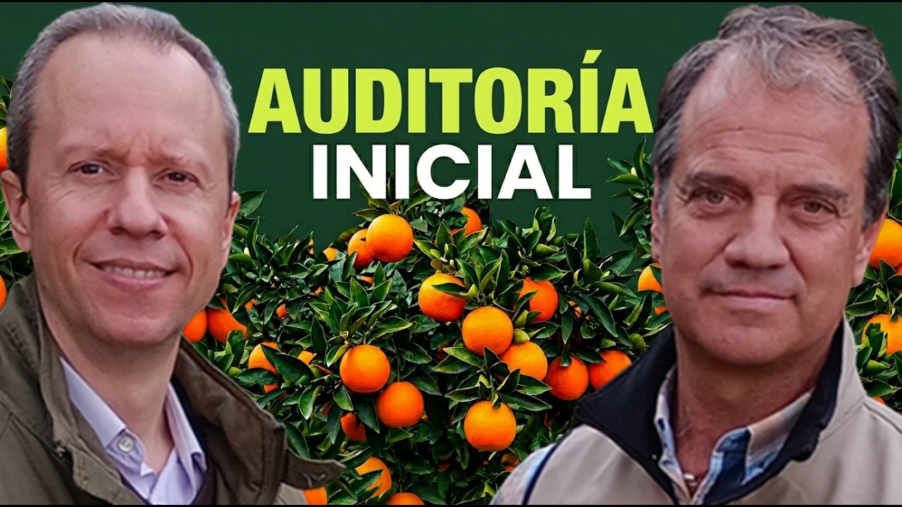 Cómo hacer una Auditoria de Certificación de Agricultura Ecológica
