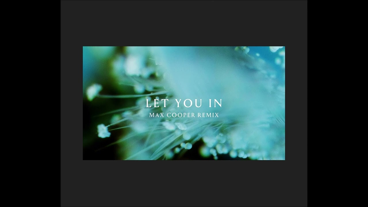 ANNA - Let You In (Max Cooper Remix)