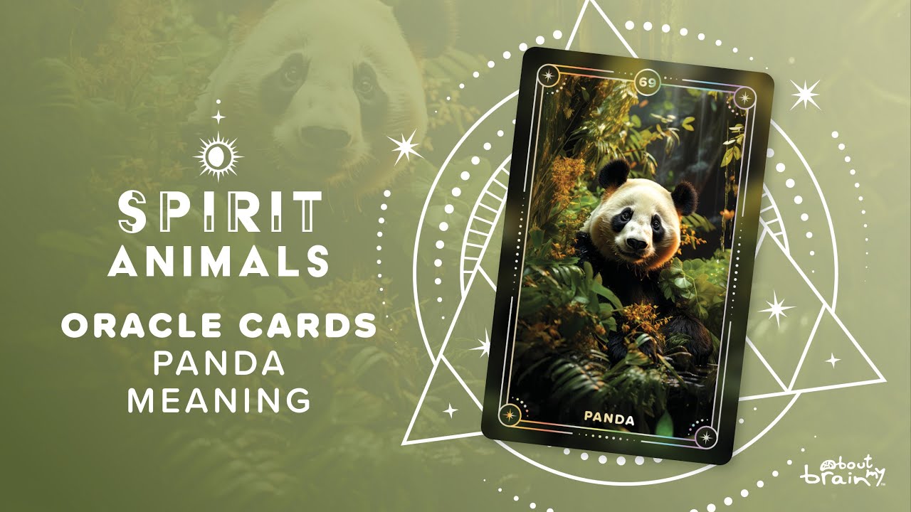 Panda Spirit Animal | Symbolism & Meaning Explained