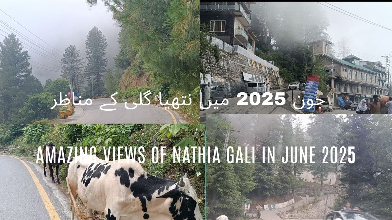 Amazing Views of Nathia Gali| Nathiagali latest updates |Galyat| Amazin Nathia gali