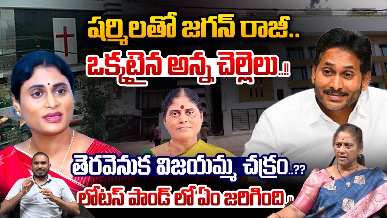 YS Jagan Compromise With Sharmila : షర్మిలతో జగన్ రాజీ..తెరవెనుక విజయమ్మ చక్రం..? | Wild Wolf Telugu