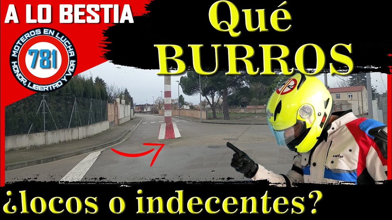 ¡QUE BURROS! Y LUEGO IGUAL TE DENUNCIAN POR ESTACIONAR #policia 👮‍♂️😲😲😲