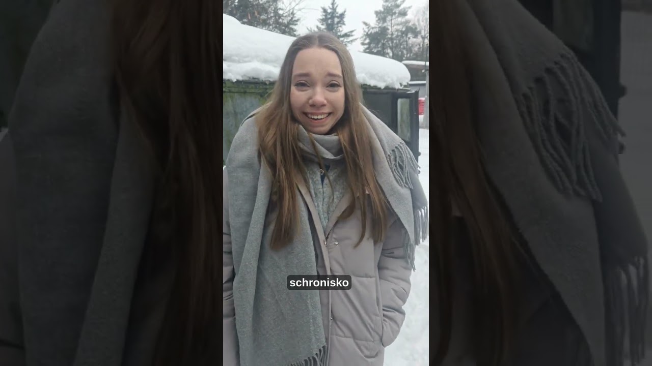 Protest przyniósł efekt. Schronisko „Happy Dog” w Sobolewie zamknięte