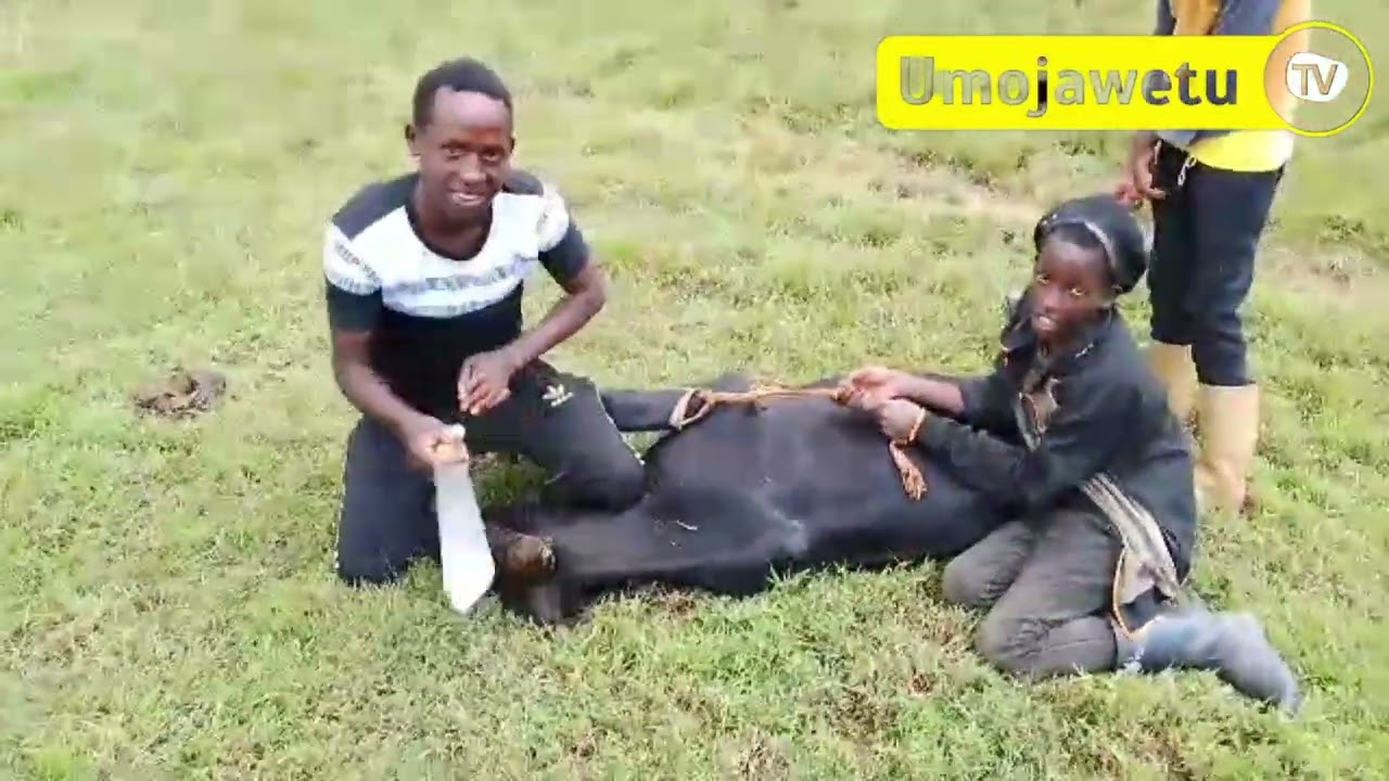 TWASUYE ABUNGERI KU MISOZI ITANDUKANYE BAHUNGIYEHO😭/INKA ZARARWAYE /INTAMBARA NIMBI💔