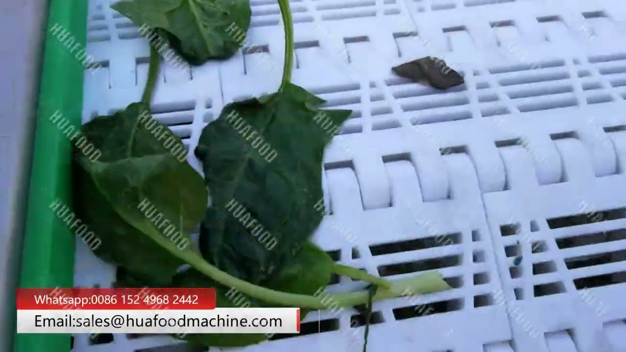 High Efficiency Lettuce Leafy Spinach Vegetable Washing Machine&ndash;Clean, Fast & Durable