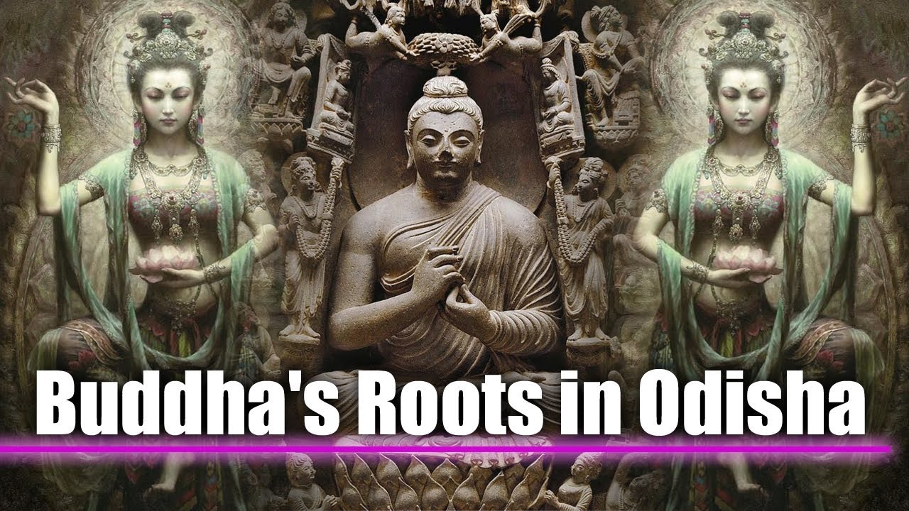 Reclaiming History | Buddha's Land | Buddha's Roots in Odisha |  Odia Lofi Vibes 🎶