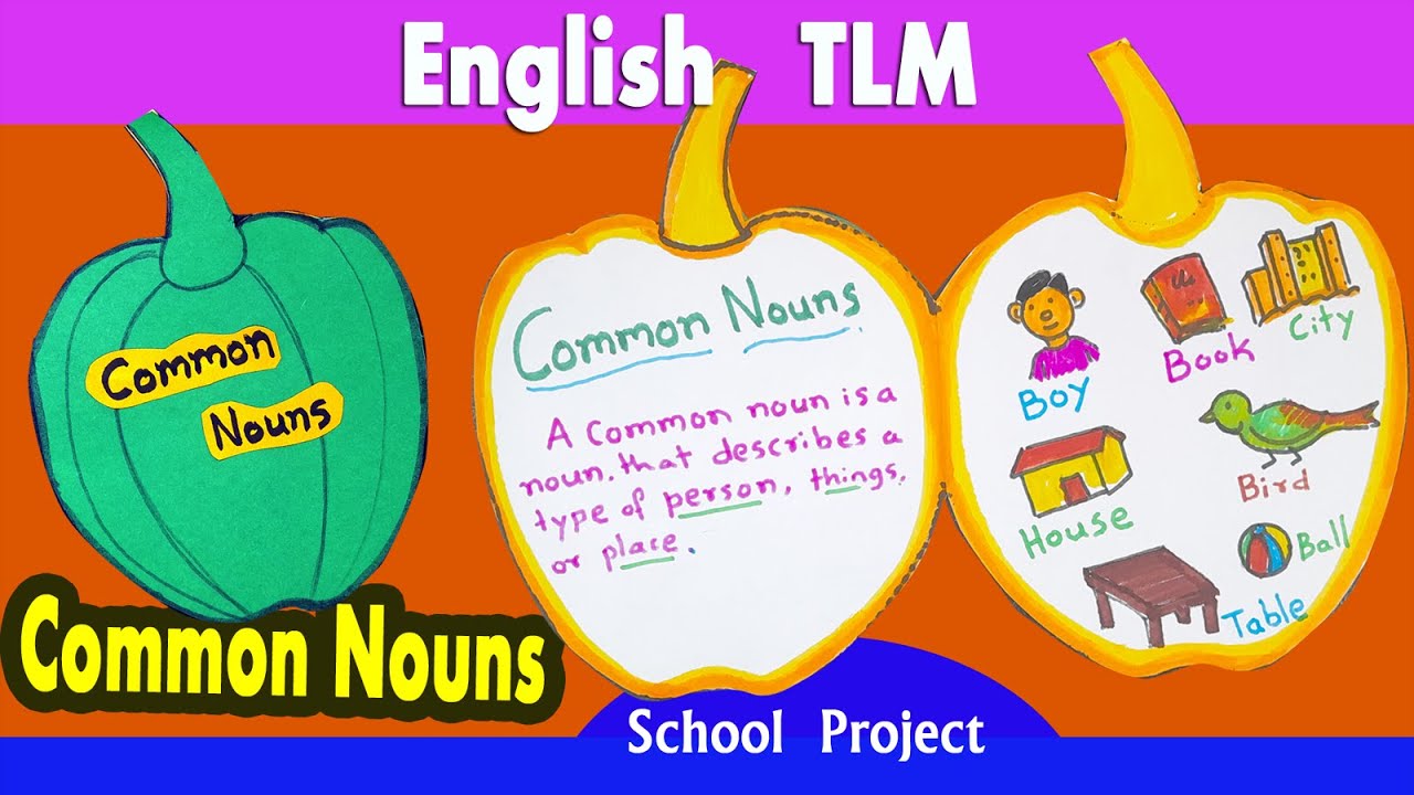 How to make Common Noun project for primary school | English grammar | Noun chart