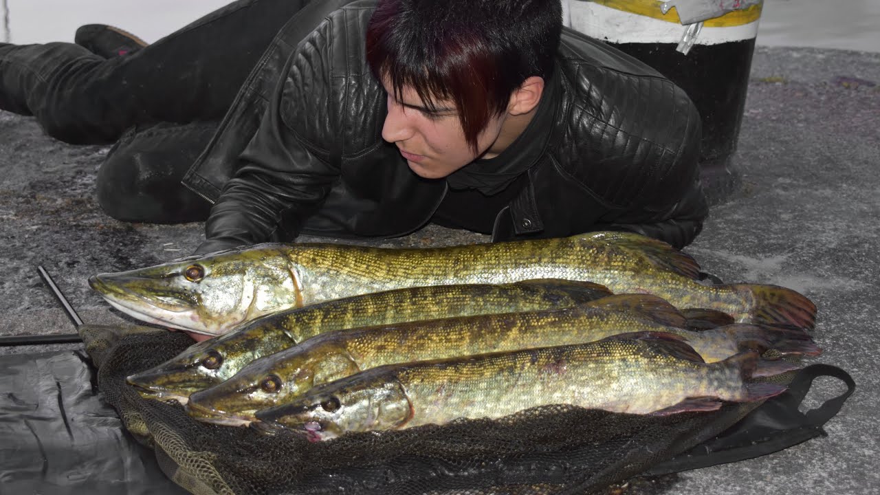 Fishing London 2021 - Quad PIKE Capture + Night Carp