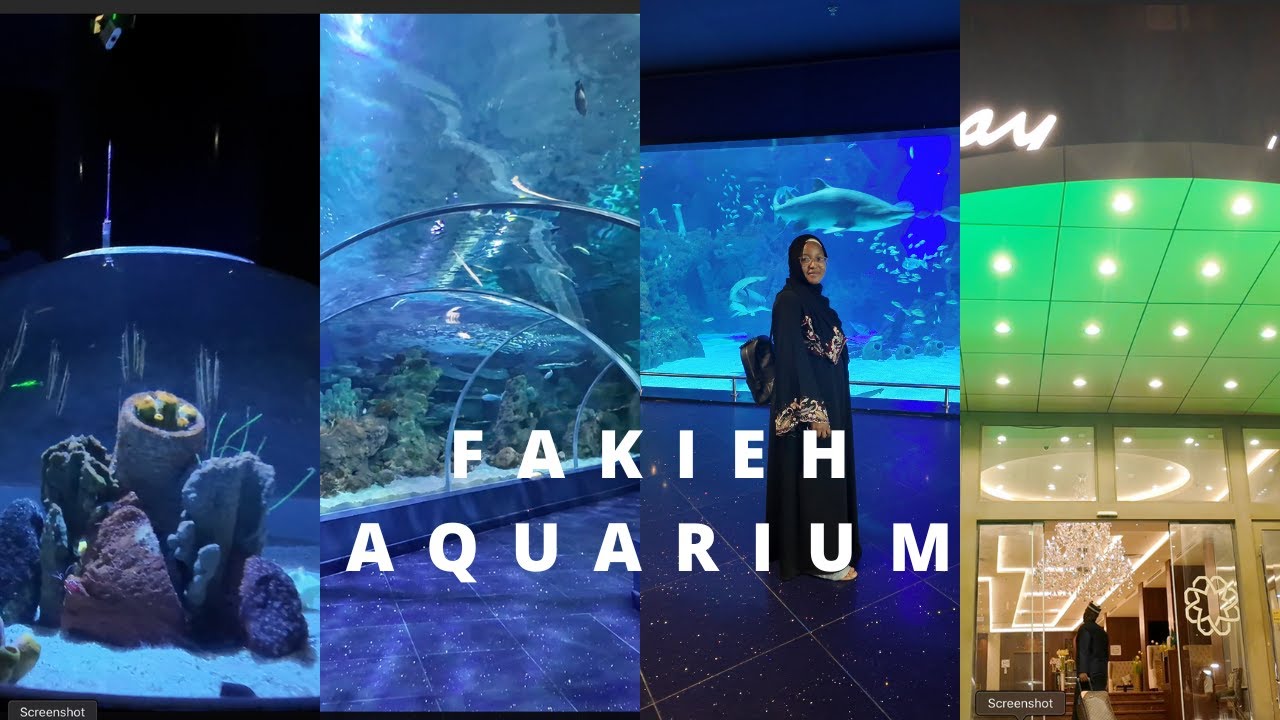Я нашел рай на земле в Джидде, Саудовская Аравия 🌊✨ | Аквариум Fakieh | эстетика..