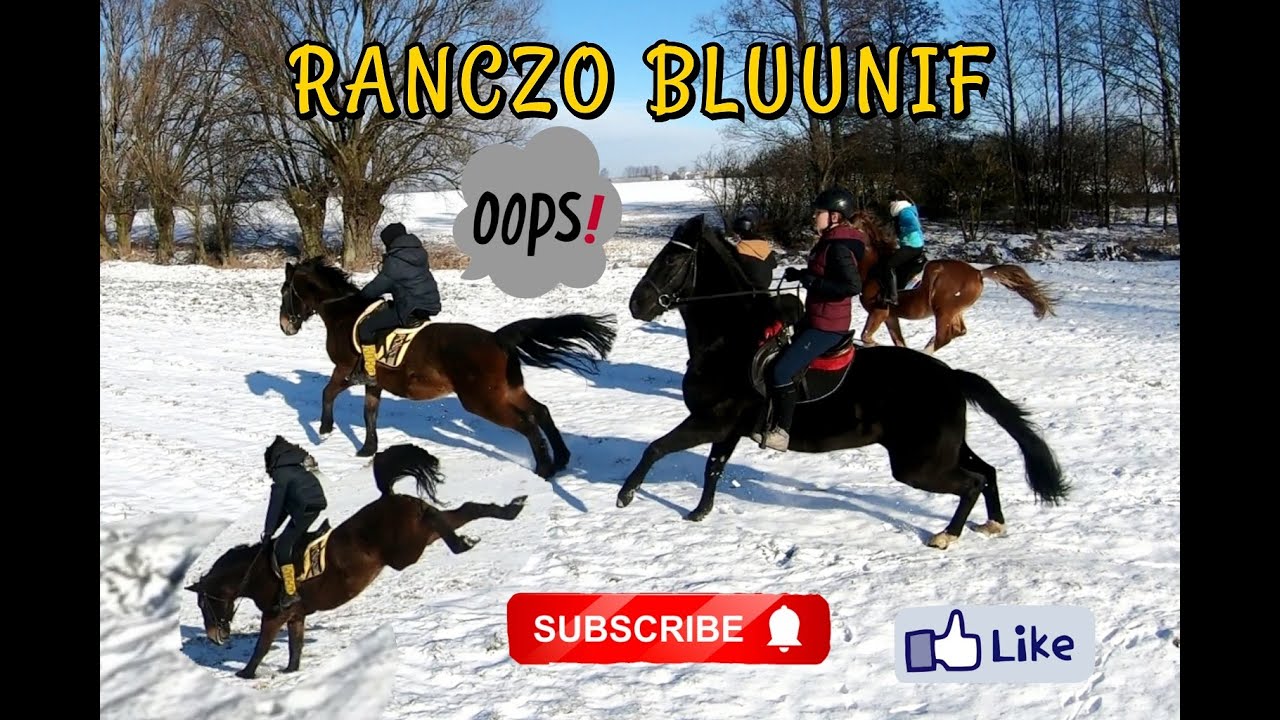 ZIMOWE RODEO