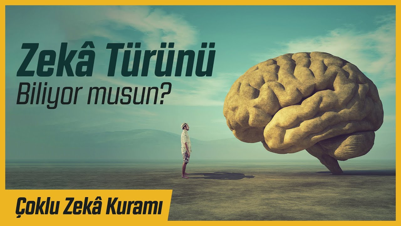 HANGİ TÜR ZEKÂYA SAHİPSİNİZ? - Zekâ Testi | Çoklu Zekâ Kuramı