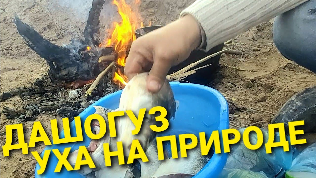 Дашогуз. На рыбалке. Готовим уху на природе.