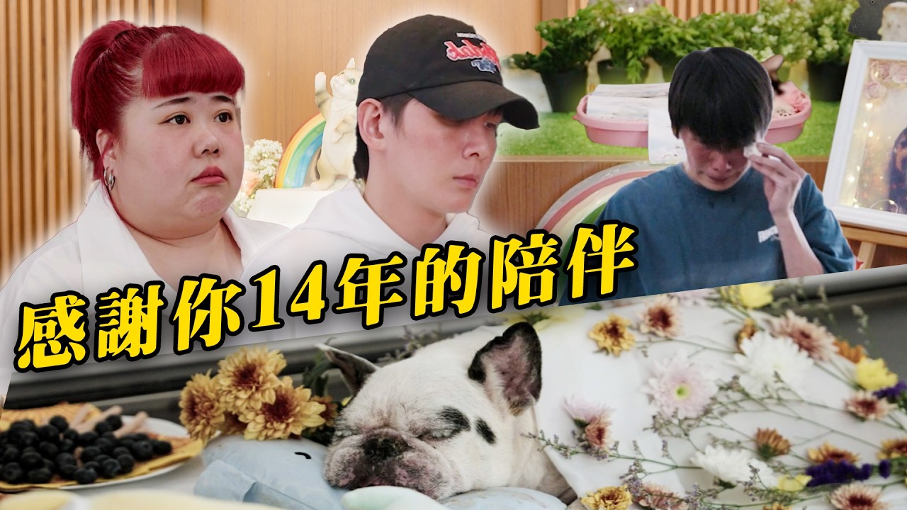 【怪咖 x Pet Cremator】梓杰的愛犬過世了！😭 讓我們送你心愛的寵物最後一程。【ENG SUBS】