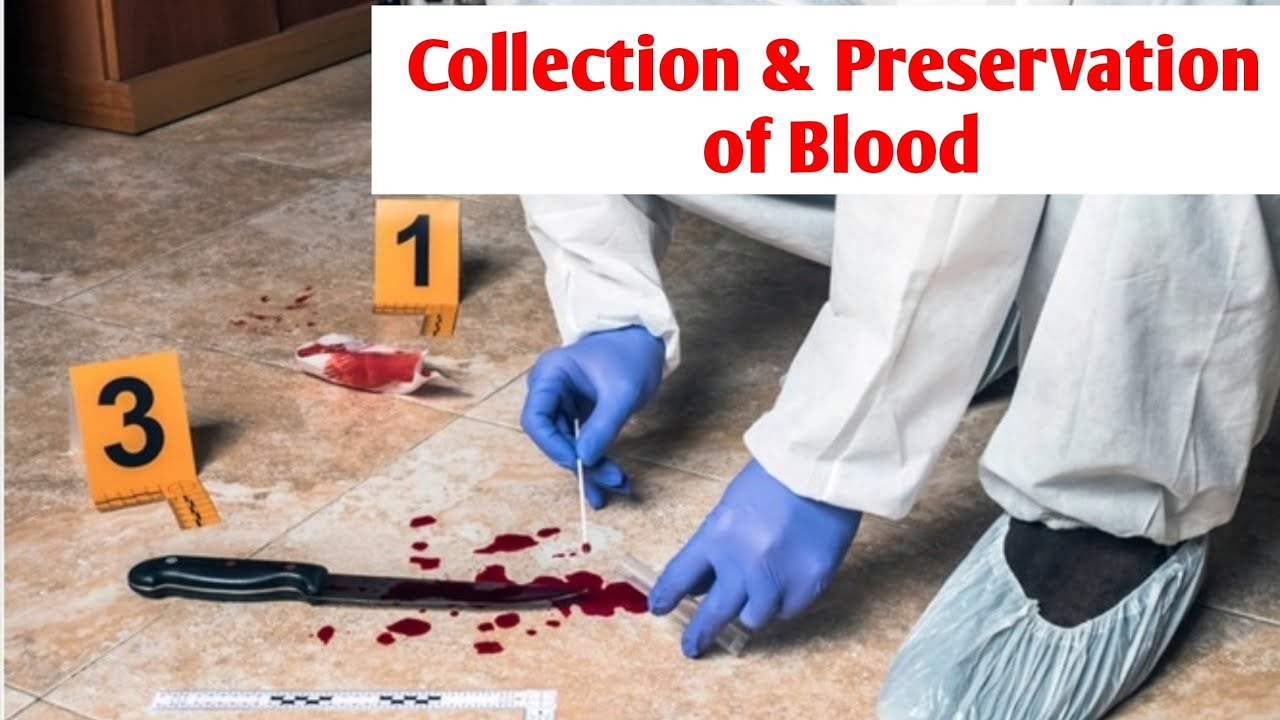 collection of Wet blood stains & Dry blood stains|| forensic collection and preservation of blood