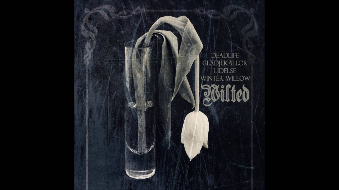 Lidelse - In The Dust Of This Life
