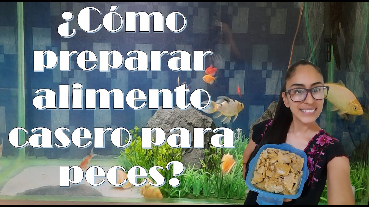 ¿Cómo hacer alimento casero  para crecimiento y color de los peces?