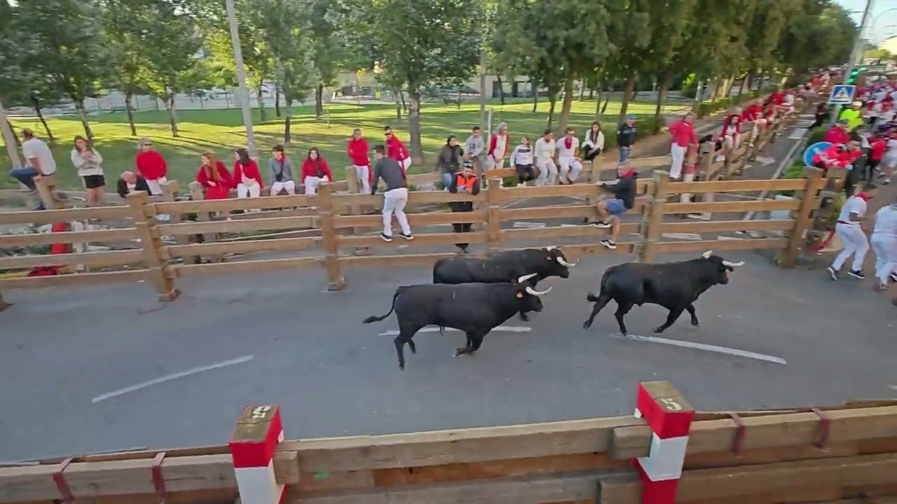Quinto encierro Fiestas de Tudela 2025
