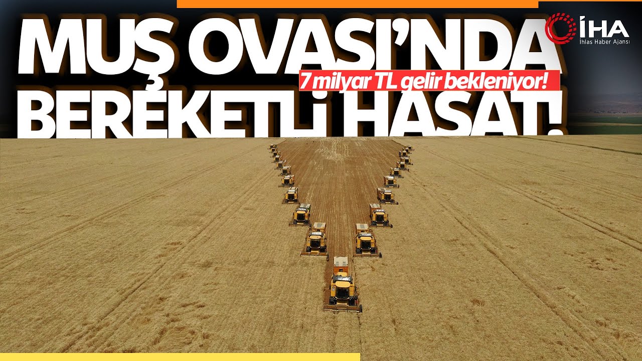 Hububat Hasadından 7 Milyar TL Gelir Bekleniyor