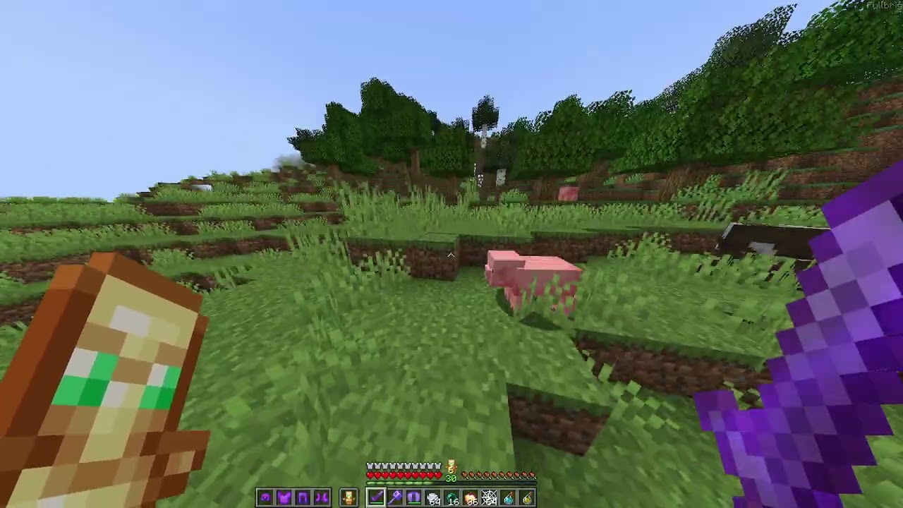 Sunucuma Gelin ip:MeldroSMP.aternos.me