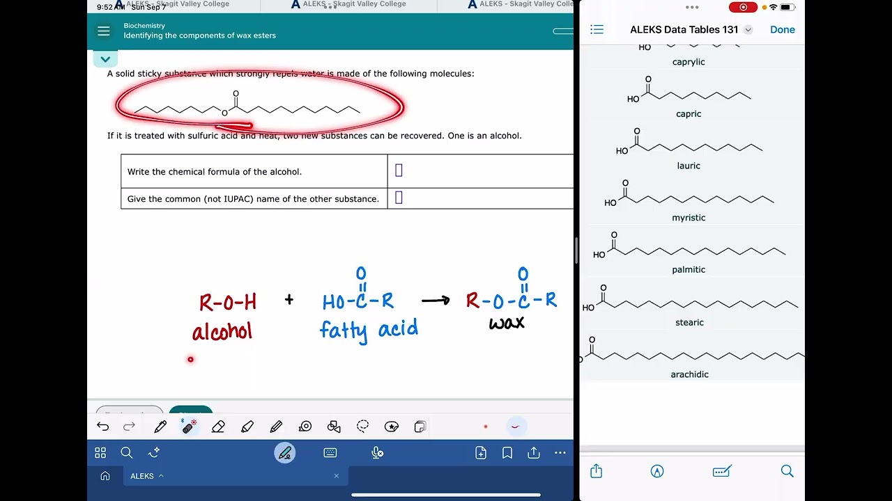 ALEKS: Identifying the components of wax esters