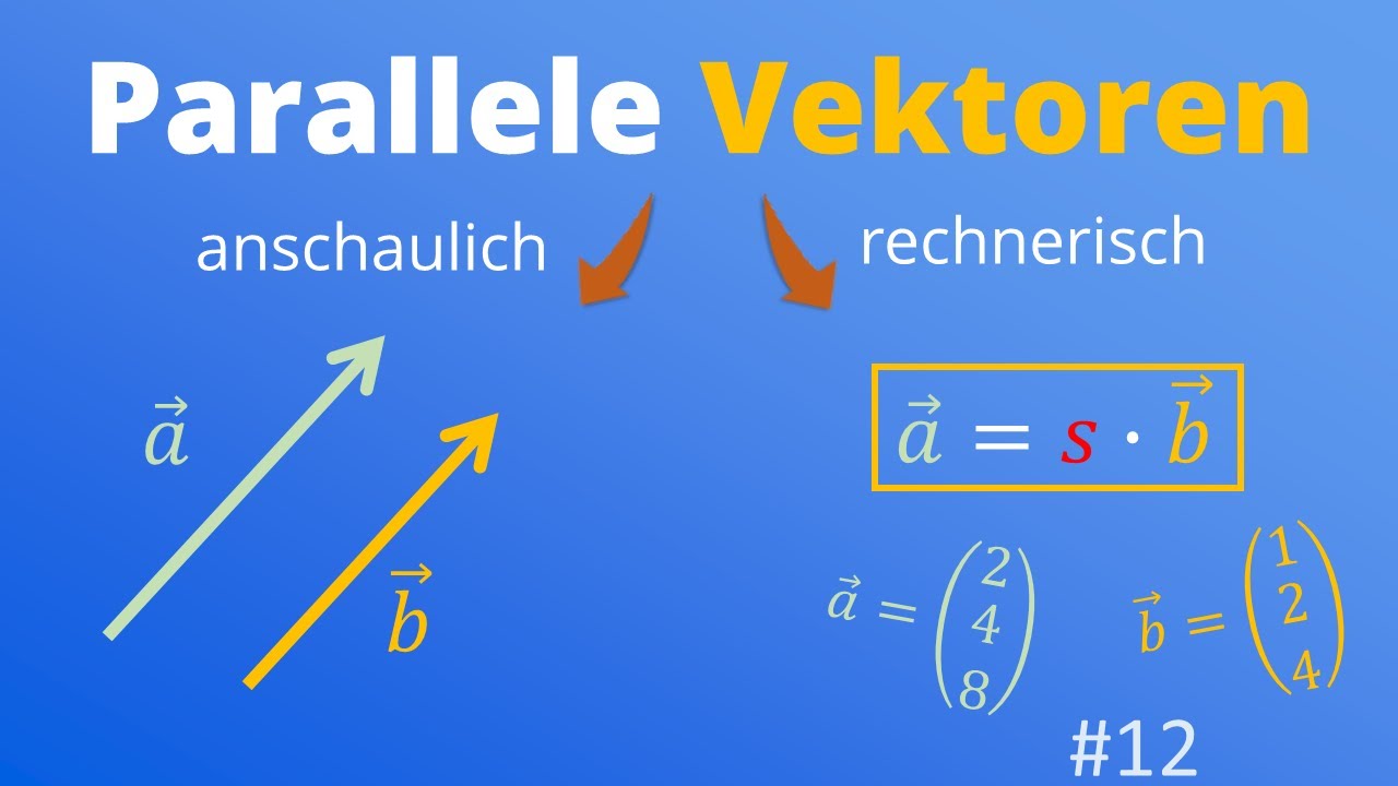 Kollineare, parallele und antiparallele Vektoren | anschaulich und rechnerisch | #12