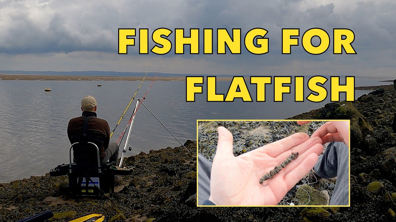 Shore Fishing for Flatfish, Mostyn, North Wales UK Sea Fishing